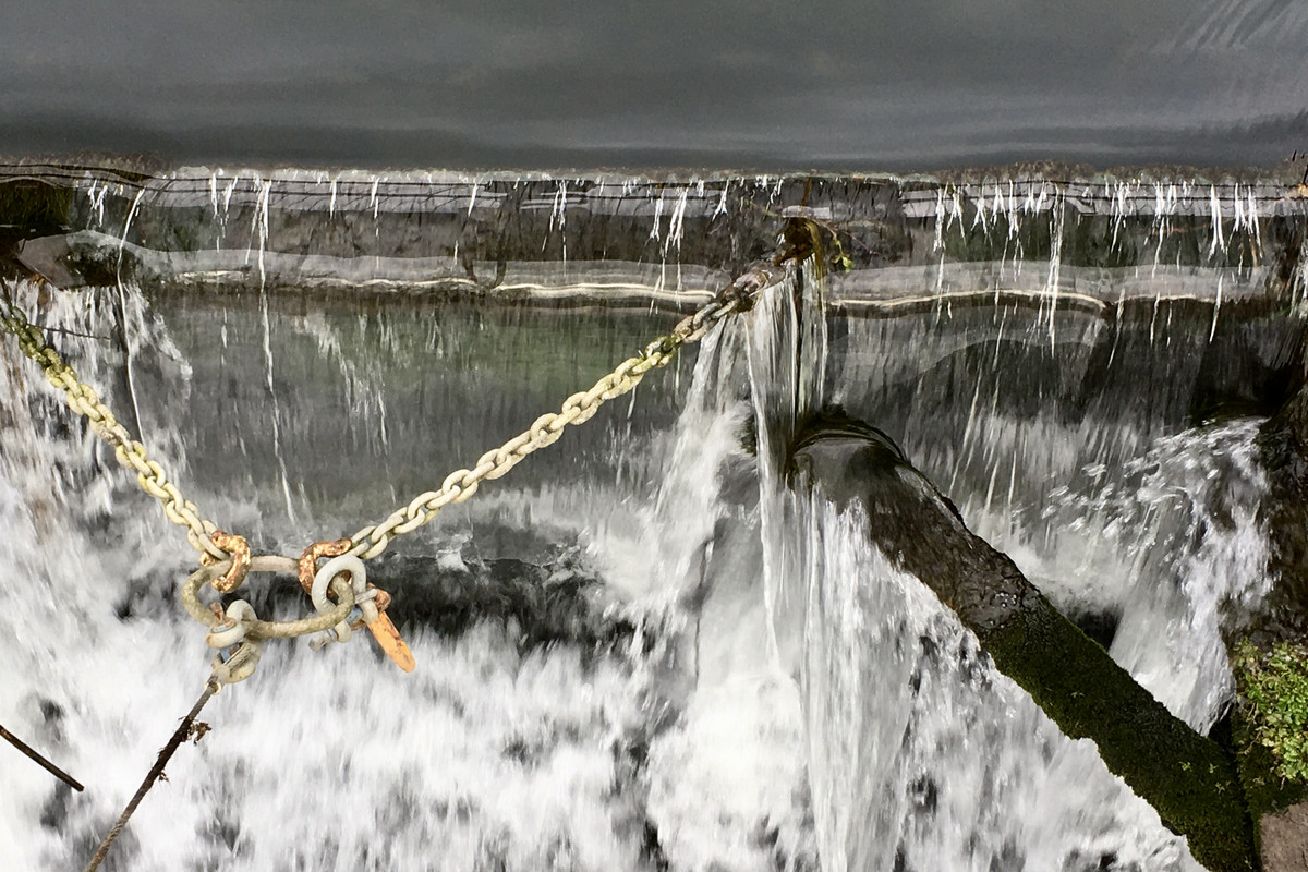 CA00E3A9-5DDC-4166-869D-F5D4D839CBBE