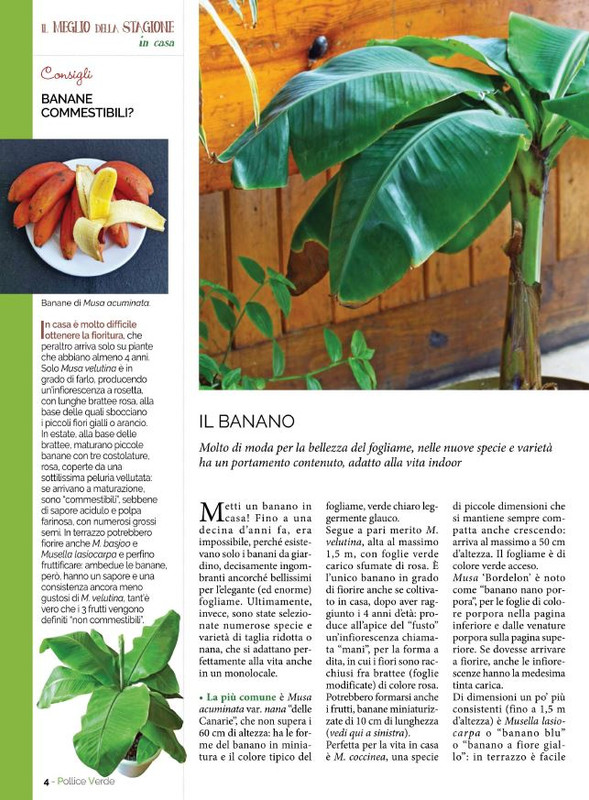 Pol Ver Ago 2021 (1)