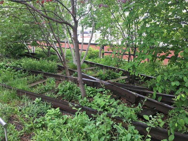 31EC0F0A-71E6-4E77-AEAA-FBB05E83F90F