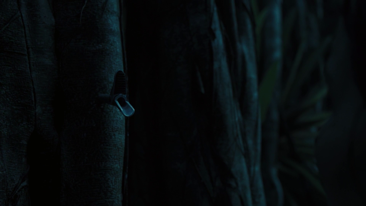 vlcsnap-2024-04-03-18h09m24s463