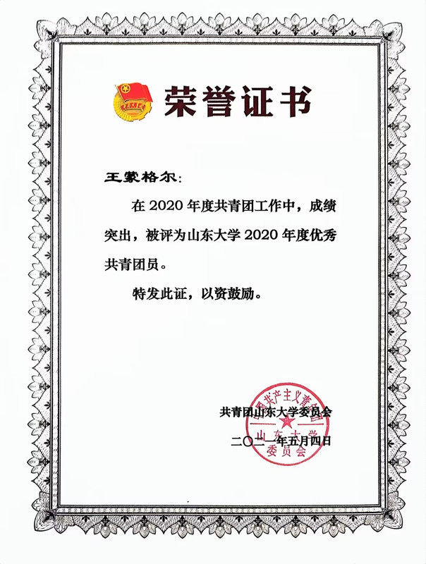 2020年度优秀团员