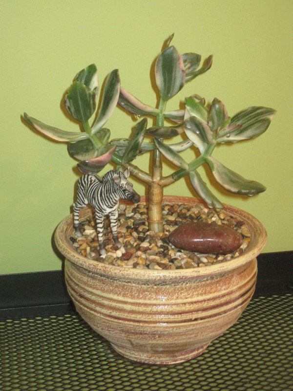 Триколор 09.02.2023 г