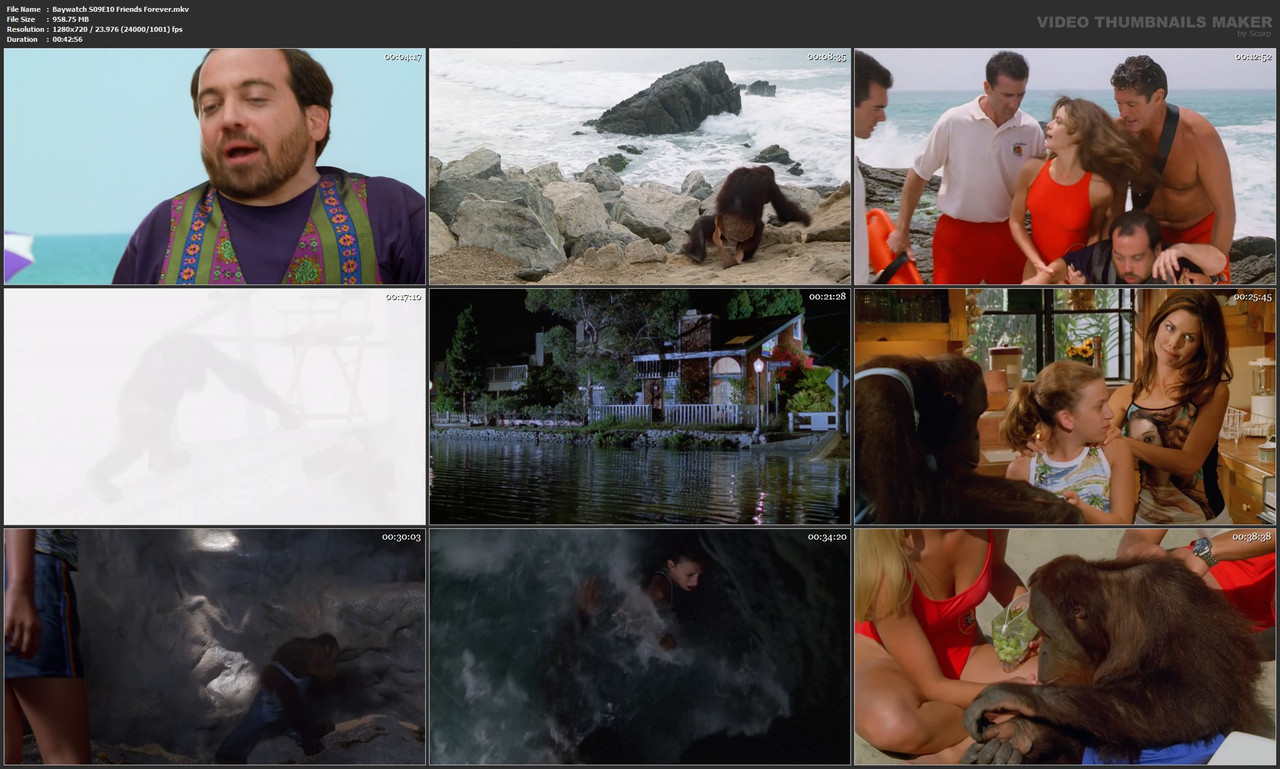 Baywatch S09E10 Friends Forever.mkv
