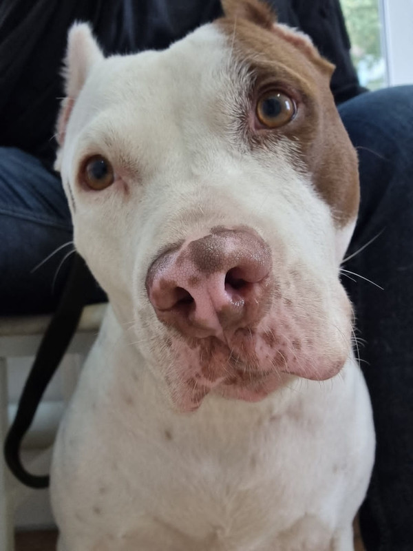 43C43705-F040-4736-9801-B15DDCC78712