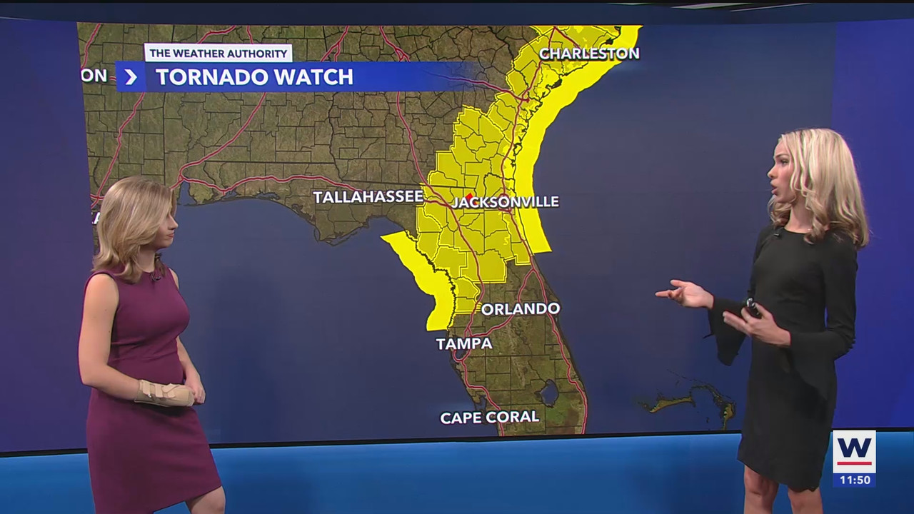 03.16 - 12.00.00 - WINK News at 8 00AM  ᴺᵉʷ. Breaking news and headli...(1).ts_snapshot_21.28.144