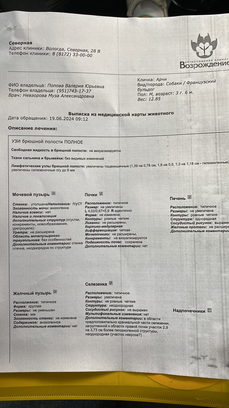 D6A81650-BA6E-462D-8E30-32C96D830AED