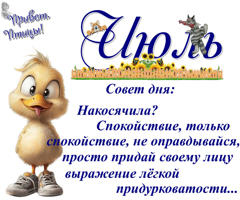 https://i.postimg.cc/Mpd4BB6G/16-07.png