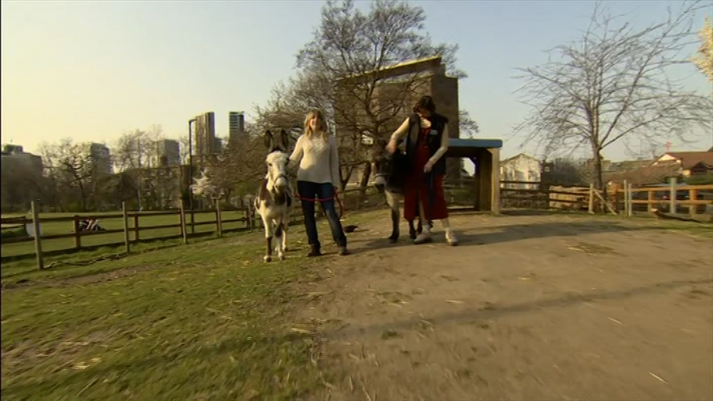 BBC London News_20220324_18301900.ts_snapshot_23.15.608