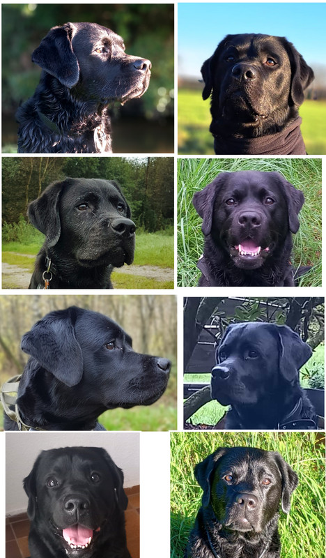 Grid Art 20260217 200701724