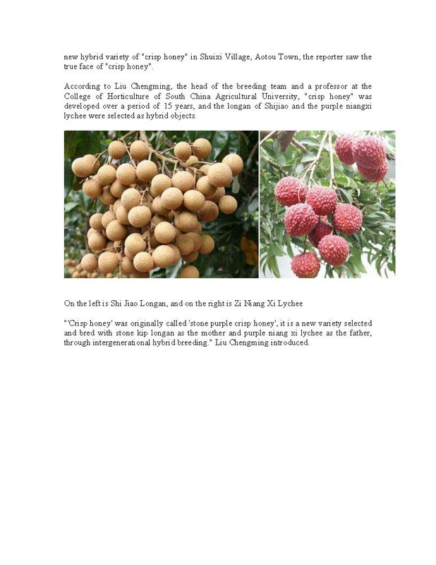 Hybrid_Longan(pdf)_Page_2