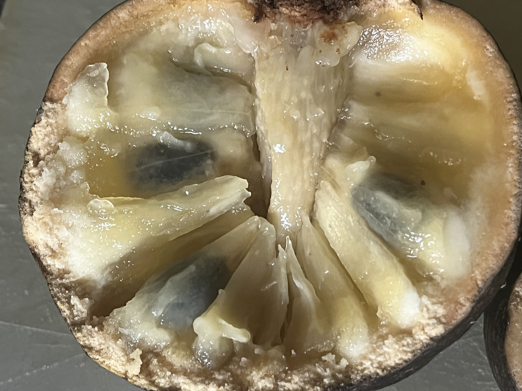 39C14681-895A-4515-BD1B-E102609950D3