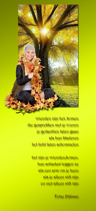 onder-de-bomen
