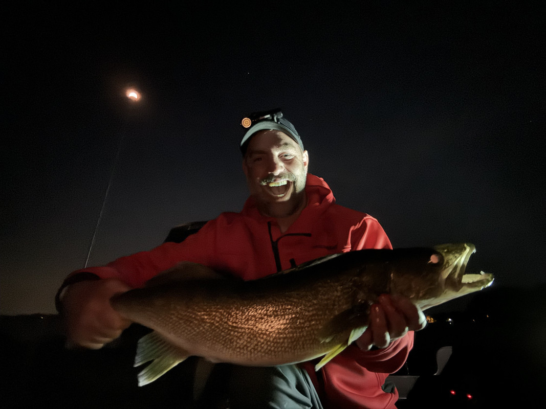 bigwalleye