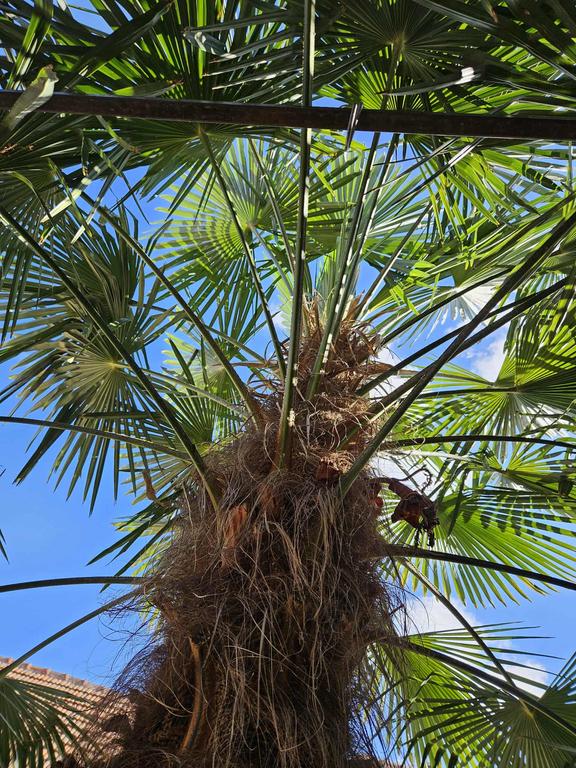 55e87104 e7f8 4d81 84a4 1b2cadb7da2b