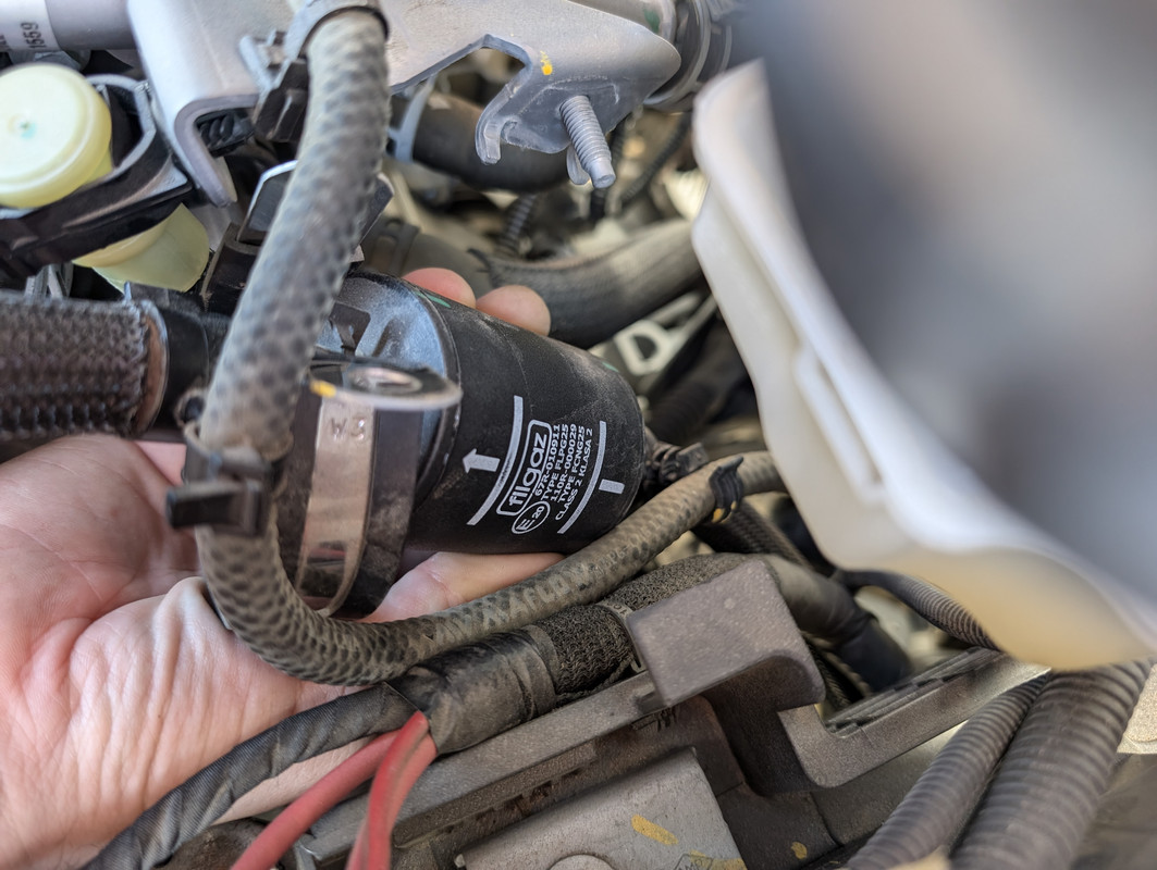 PXL_20240929_140811753