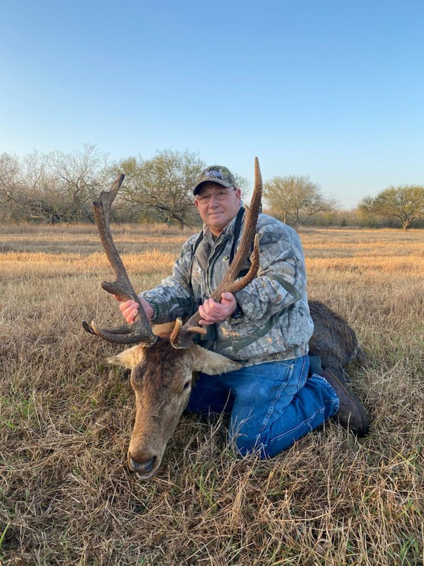 Red Stag 2021