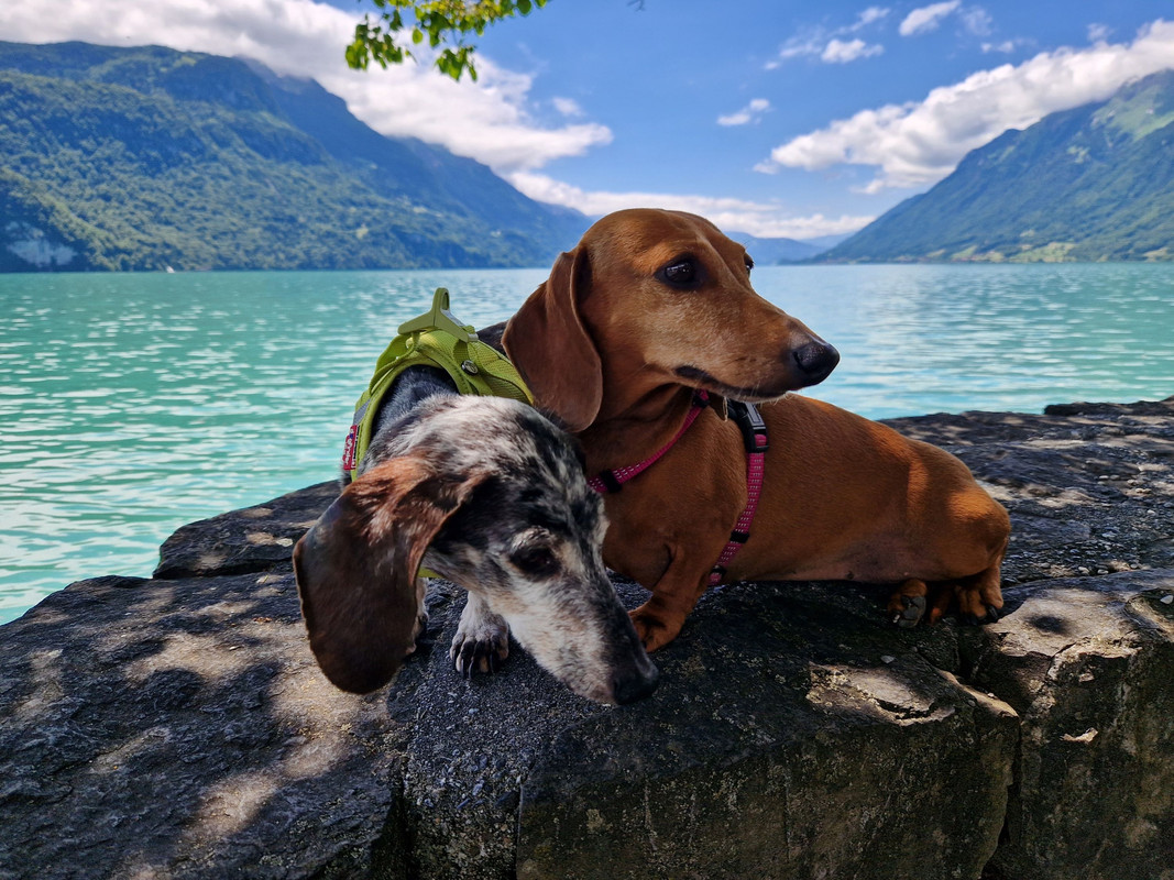 [Image: 20240624-134625.jpg]