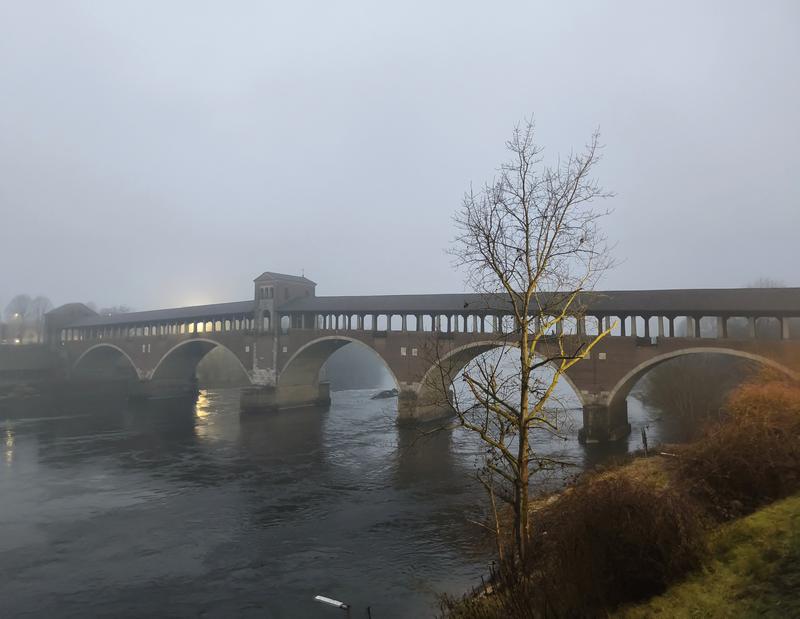 Milán-Turín-Génova-Pavía - Blogs de Italia - Pavía: la famosa batalla y sus torres medievales (28)