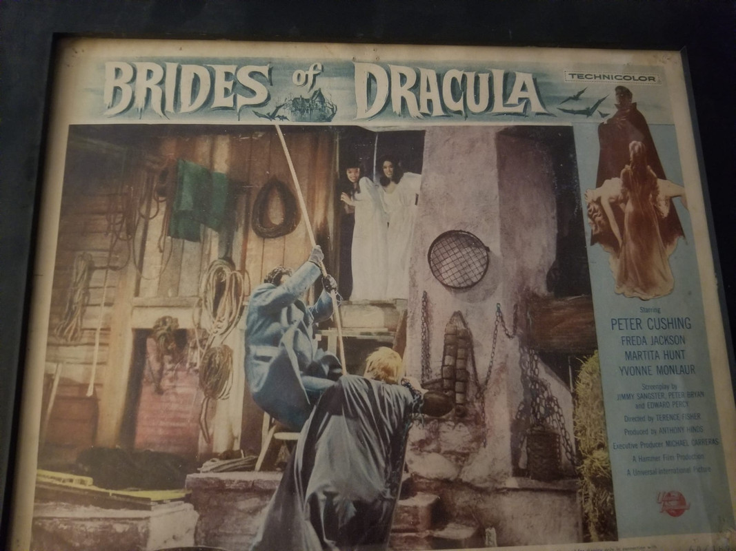 306282752_5757430860955534_4066918690851216370_n