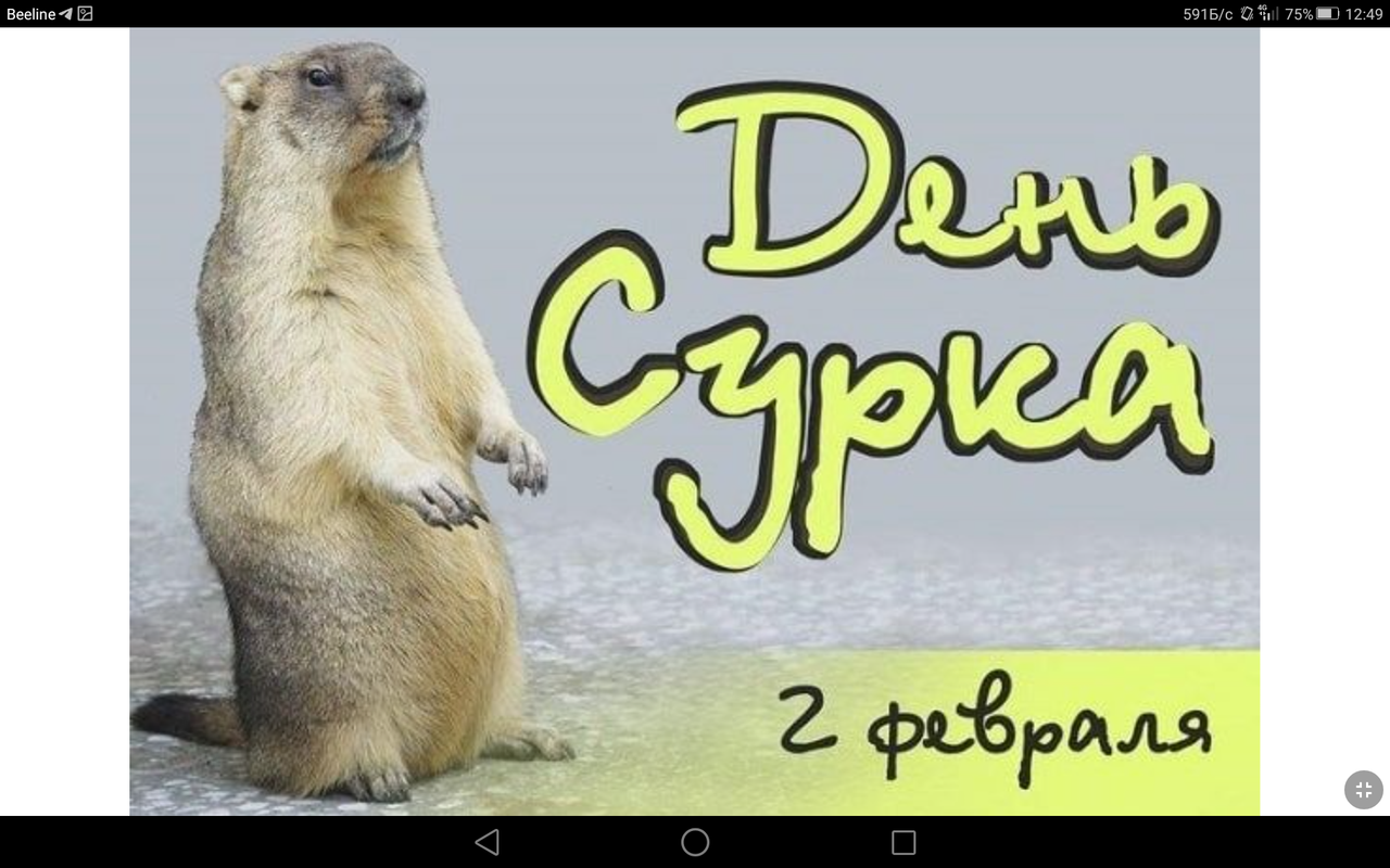 Screenshot_2023-02-02-12-49-20
