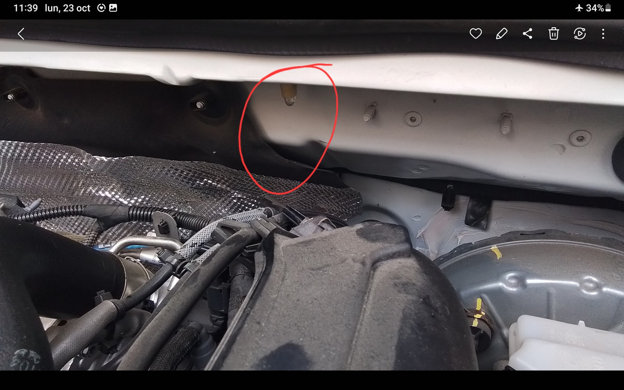 Screenshot_20231023_113958_Gallery