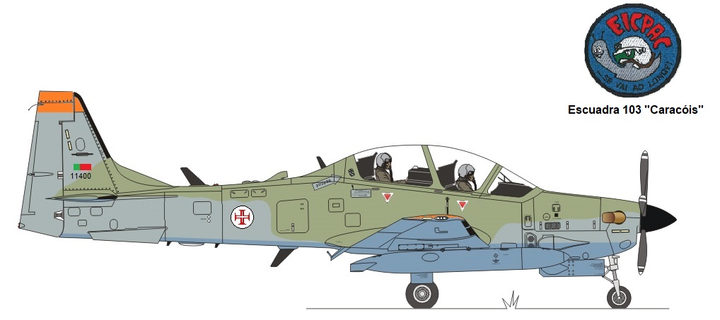 Cuadro-Super-Tucano-Portugal.jpg