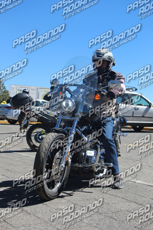 IMG 5326 wm 535822 5 watermarked — Postimages