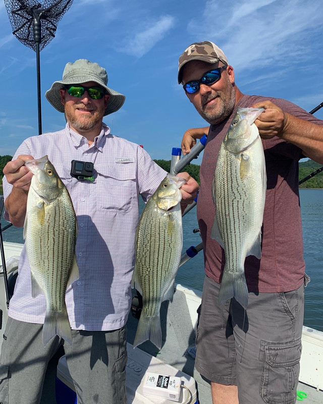 27D2AB45-AE5B-40F6-98B3-1B1B37F2546B