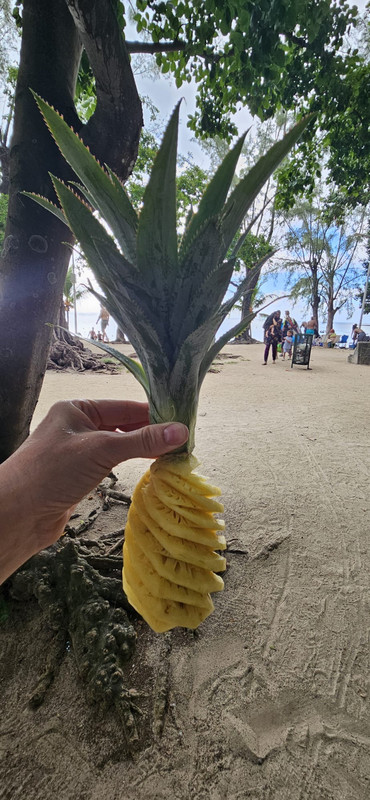 831b9bf9 900d 4f3f b0fd b94d49dfef0b