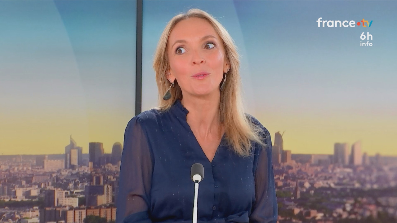 Le 6h info France 2 2025 11 15 05 57 ts snapshot 01 00 711
