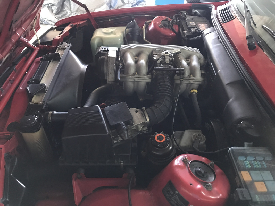 A173AF49-9865-429C-8303-3BA2BE7849BE