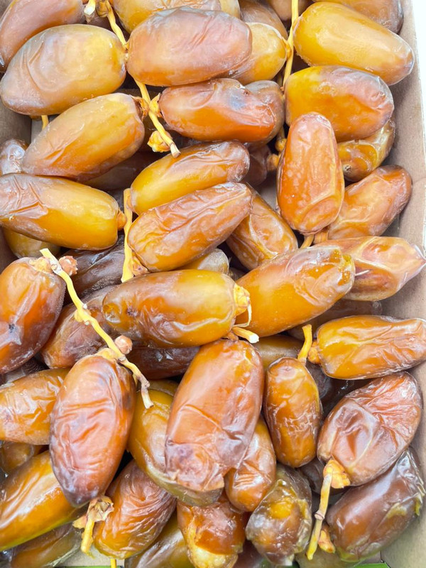 Deglet Nour on the Branch thumbnail 2