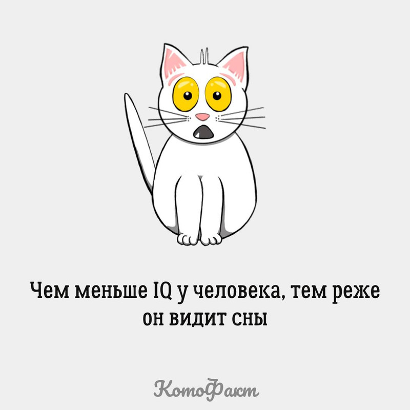 7E5DF135-A097-43A7-937B-B12917D01A8B