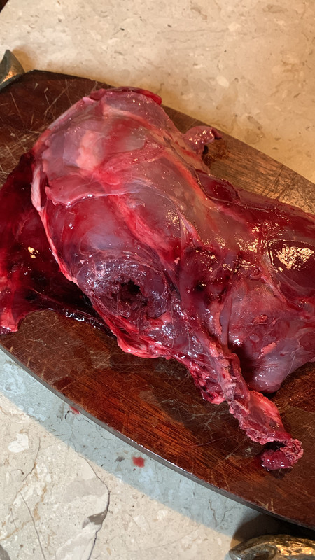 CDAE6403-922E-475C-9188-AA5659AFAE0C