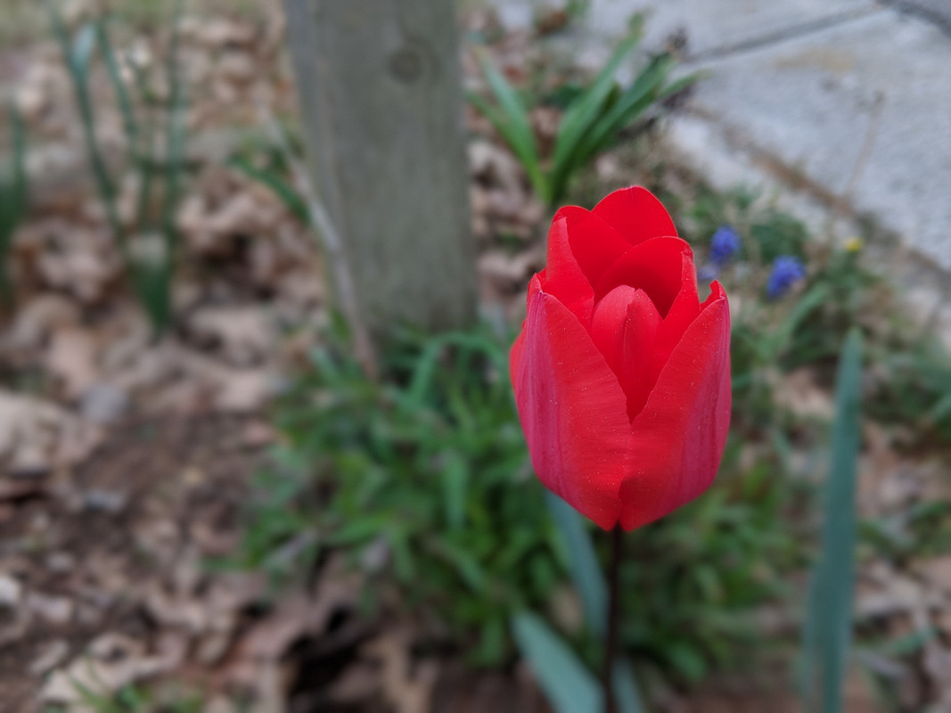 00100dPORTRAIT_00100_BURST20180324173926567_COVER