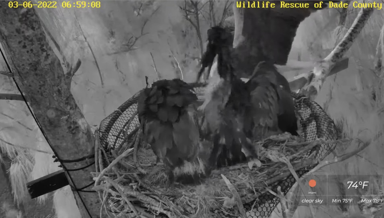 15C8D899-884E-4AA4-B41B-045371FE8321