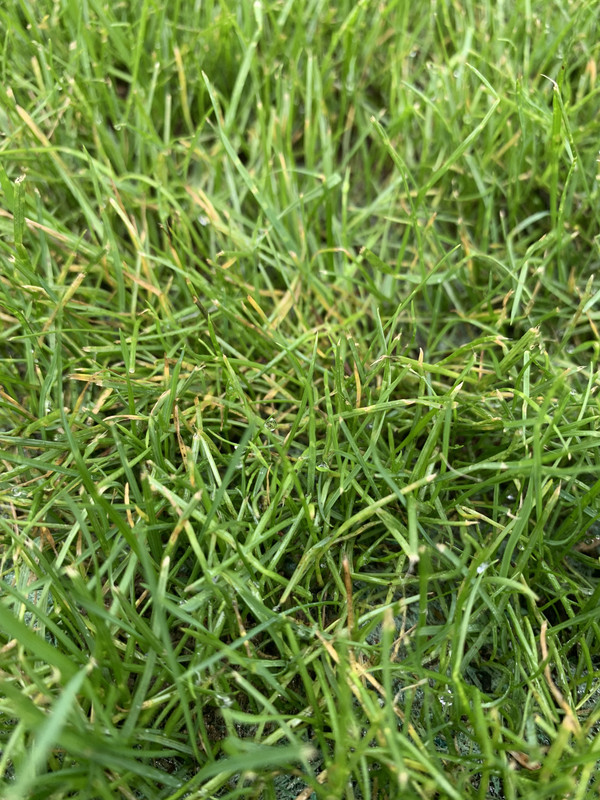 87CC80AA-C87B-4665-9E42-39970FCF53AB