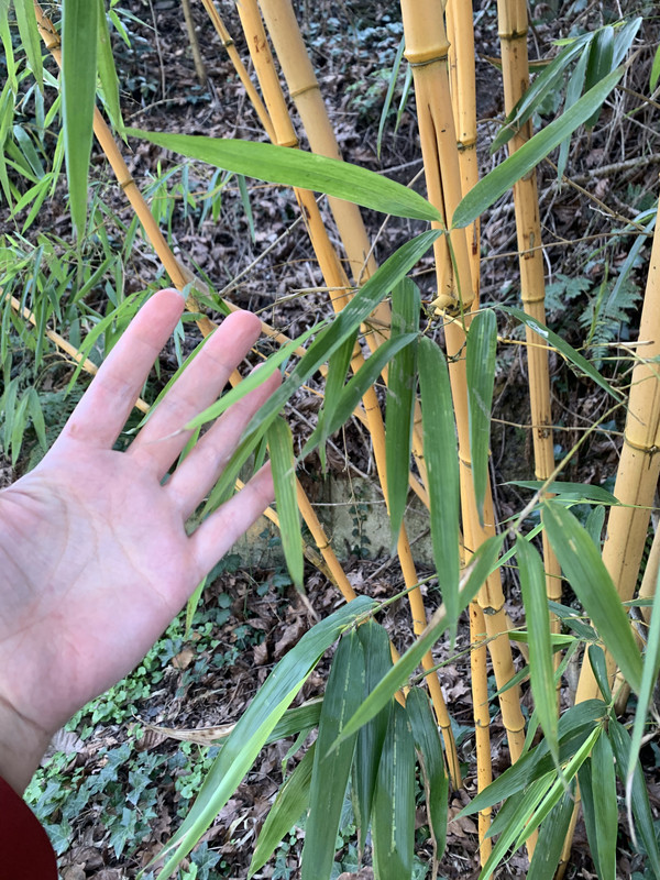 71541BE5-C5D4-4759-8FB4-C5A2BE7329FF