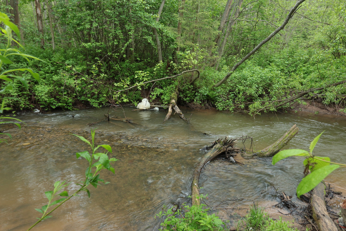 IMG_5570 (2592 x 1728)