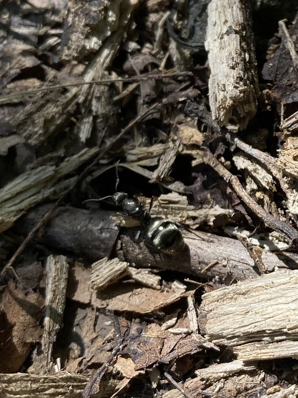 4F834C55-6A82-4A2D-A12B-38D81A51BE3A