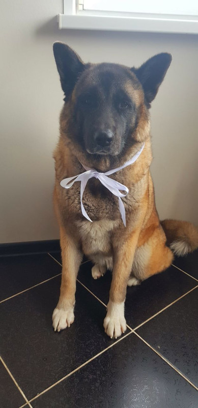 813C1723-1D3C-4228-93CC-8410D1A63A5E