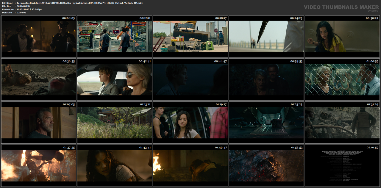 Terminator.Dark.Fate.2019.ViE.REMUX.1080p.Blu-ray.AVC.Atmos.DTS-HD.MA.7.1-LEGi0N-Vietsub-Vietsub-TM.