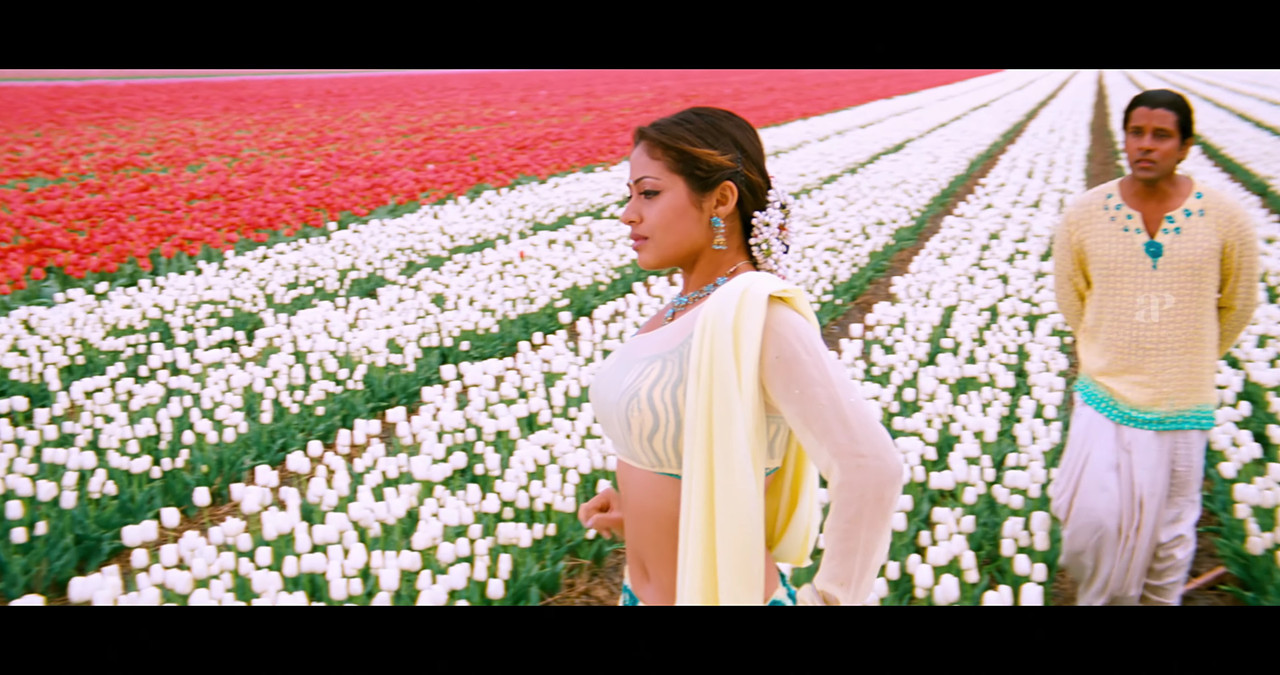 VideoCapture_20241122-195538