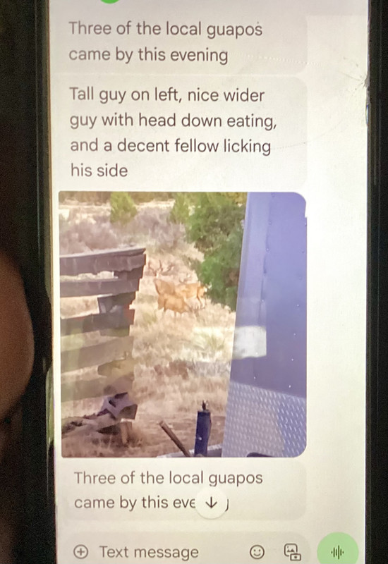 IMG 1250