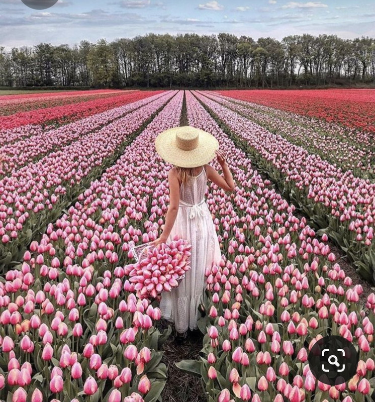 Screenshot_20230721_222309_Pinterest