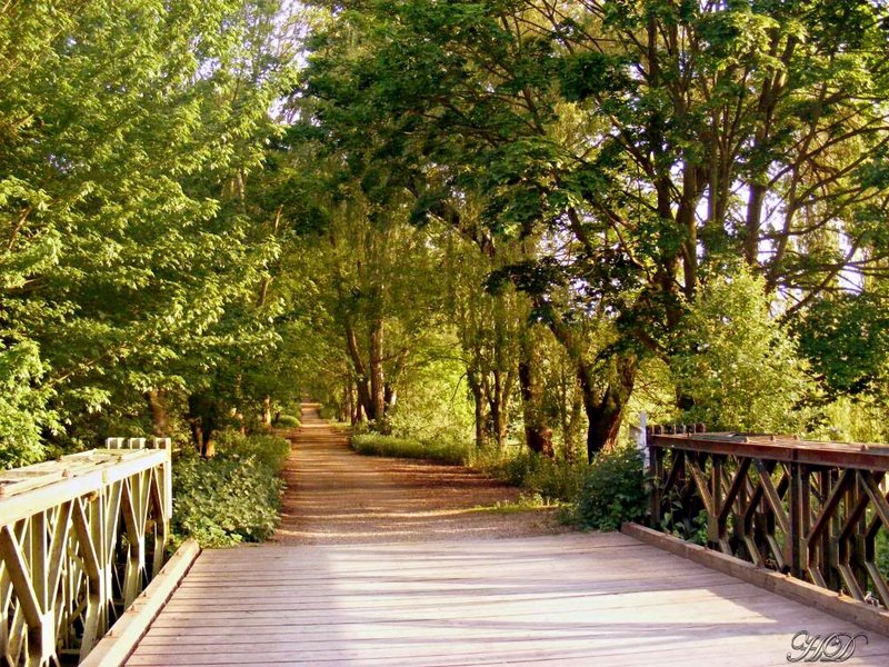 autumn-Nature-park-HD.jpg