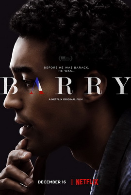 Barry (2016) .mkv iTA-ENG WEBDL 1080p x264
