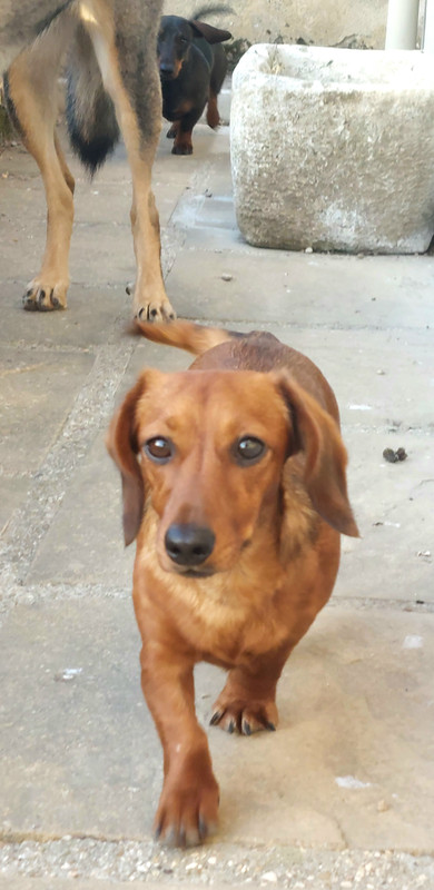 [Image: 20250702-070826.jpg]