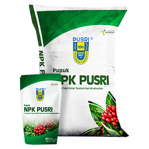 NPK Kopi