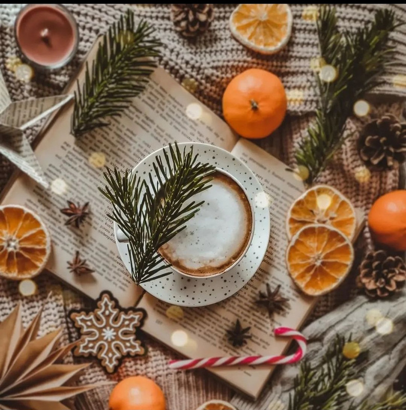 Screenshot_20240112_231912_Instagram